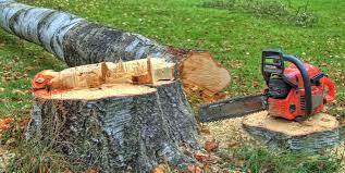 Best Utility Line Clearance  in Homeland, CA